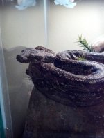 IMG_20130202_201026.jpg