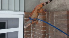 20130511_154230.jpg