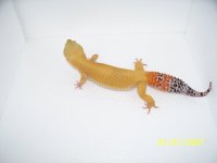 pics 001.jpg