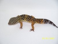 pics 071.jpg