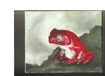 redmonkey2.jpg
