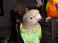 DSC06408.jpg