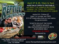 GBU_reptileshow_flyer_craigslist.jpg