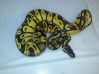 20130206_170652.jpg