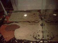 aquarium2.jpg