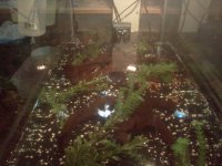 aquarium.jpg
