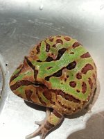 20130427_210547.jpg
