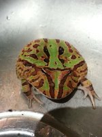 20130427_210521.jpg