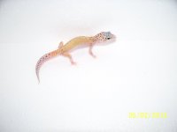 2013 babies 001.jpg