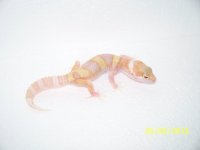 2013 babies 019.jpg