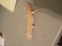 20130613_101523.jpg