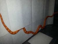 20130125_195538.jpg