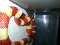 20130125_195359.jpg