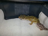 20130125_195114.jpg