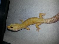 20130125_195157.jpg