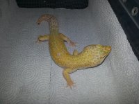 20130125_195210.jpg