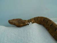 DSCN3345.jpg