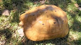 IMG_20130529_141501.jpg