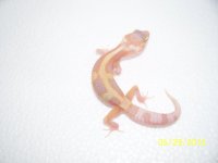 2013 babies 010.jpg
