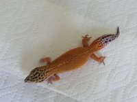 20130428_101456.jpg