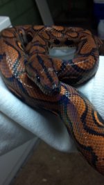 2012-11-20_08-50-26_304.jpg