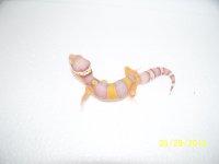 2013 babies 016.jpg
