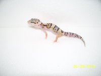2013 babies 024.jpg
