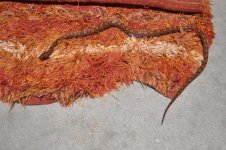 DSC_0145.jpg