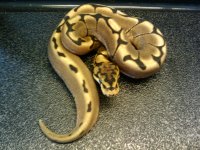 2010-06-24 08.05.53.jpg