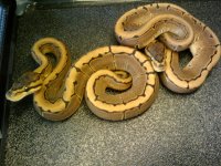 2010-06-24 08.15.19.jpg