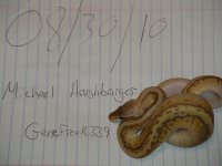 DSCN2821.JPG