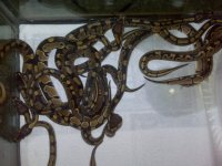 IMG00069-20100520-1025.jpg