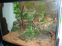 Tank set up 352.jpg