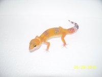 2013 babies 036.jpg