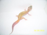 2013 babies 041.jpg