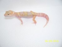 2013 babies 046.jpg