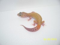 2013 babies 050.jpg