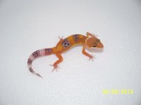2013 babies 056.jpg