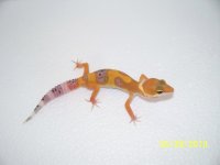 2013 babies 057.jpg