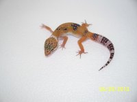 2013 babies 052.jpg