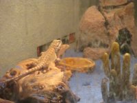 IMG_1381.jpg
