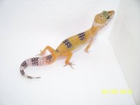 2013 babies 054.jpg