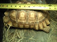 downsized_0209132211.jpg