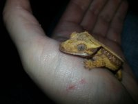 20130429_175515.jpg