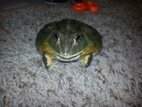20130410_133757.jpg