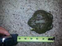 20130410_133821.jpg