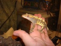 4-19-13 004.jpg