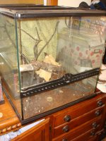 4-19-13 003.jpg