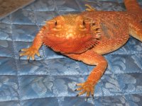 IMG_2027.JPG