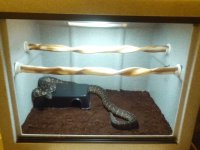 IMG_20130529_212048.jpg